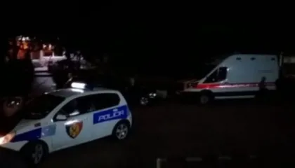 Aksident i rëndë në vend/ Kamioni humb kontrollin dhe del nga rruga (Detaje)