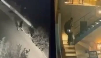 Autor i një seri vjedhjesh/ Bie në prangat e policisë ‘skifteri’ 39-vjeçar, shqiptar