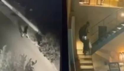 Autor i një seri vjedhjesh/ Bie në prangat e policisë ‘skifteri’ 39-vjeçar, shqiptar