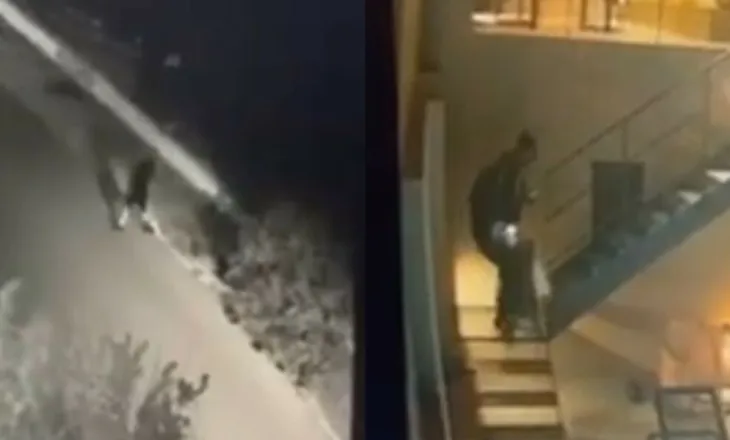 Autor i një seri vjedhjesh/ Bie në prangat e policisë ‘skifteri’ 39-vjeçar, shqiptar