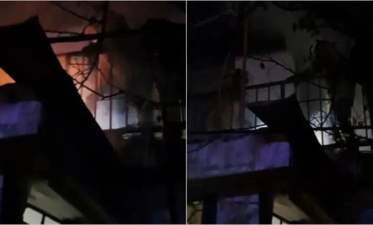 Banesa në Vlorë përfshihet nga flakët, nuk raportohet për të lënduar/ Zjarri dyshohet se erdhi nga…