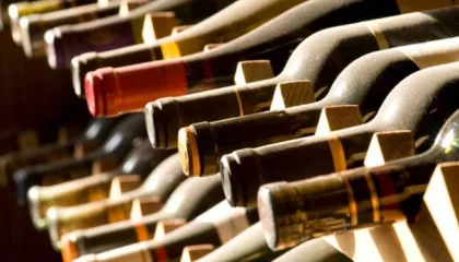 Berisha: 4 milionë euro shishe vere i janë gjetur Ergys Agasit