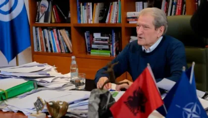 Berisha: Mafiozi Bolino nuk është i vetmi në dosjen e Ballukut, shuma të mëdha ka marrë edhe Top Tuneli, BB është Ben Blushi