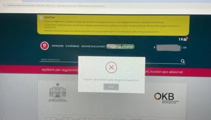 “BIE SHTETI ONLINE”/ Nuk kryhet dot asnjë veprim në e-albania, bizneset: Kjo është e patolerueshme