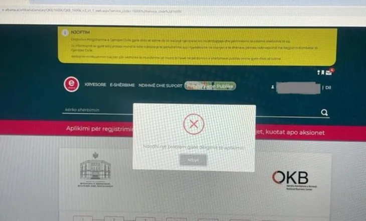 “BIE SHTETI ONLINE”/ Nuk kryhet dot asnjë veprim në e-albania, bizneset: Kjo është e patolerueshme