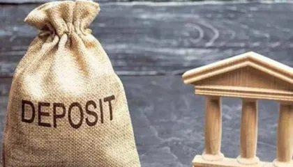 Çfarë po ndodh me kursimet? Bankat shënojnë frenim të fortë në nëntor