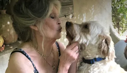 Çfarë postoi Brigitte Bardot në Instagram një ditë përpara vdekjes?