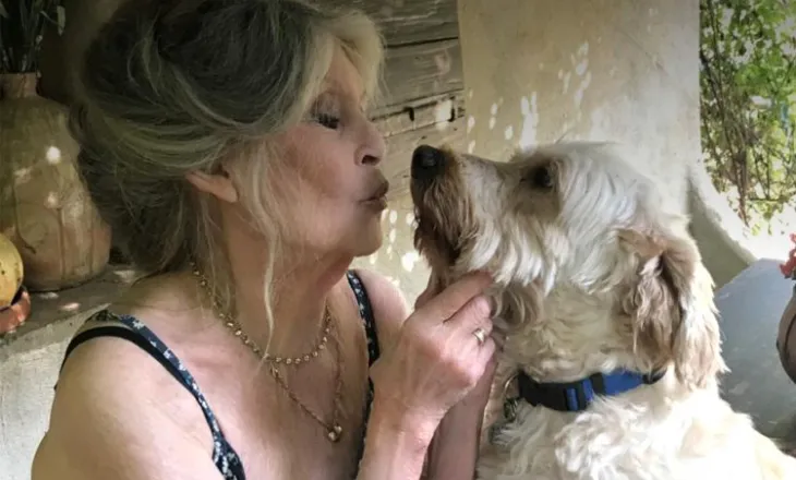 Çfarë postoi Brigitte Bardot në Instagram një ditë përpara vdekjes?