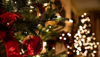 Çfarë sjell gjysma e parë e 2026? Meri Gjini: Vendime të rëndësishme, bebe por edhe ndarje