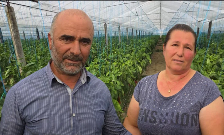 Çifti Ruko nga Roskoveci: Një shembull suksesi në prodhimin bio të perimeve