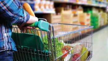 Çmime të shtrenjta? Eksperti: Prodhimi blegtoral në pikiatë, problemi kryesor lidhet me…