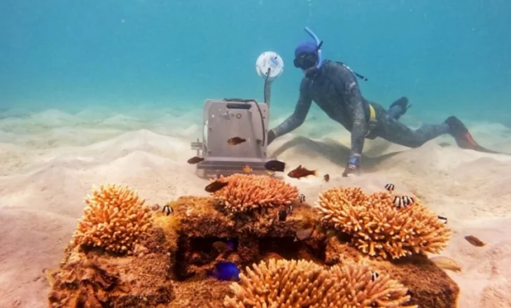 Covid-19, periudha kur oqeanët ranë në qetësi