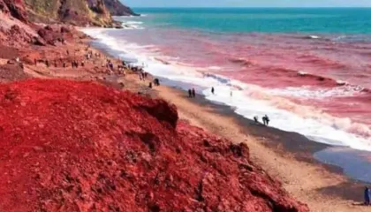 Deti bëhet i kuq në një ishull iranian, ja çfarë thonë ekspertët për fenomenin