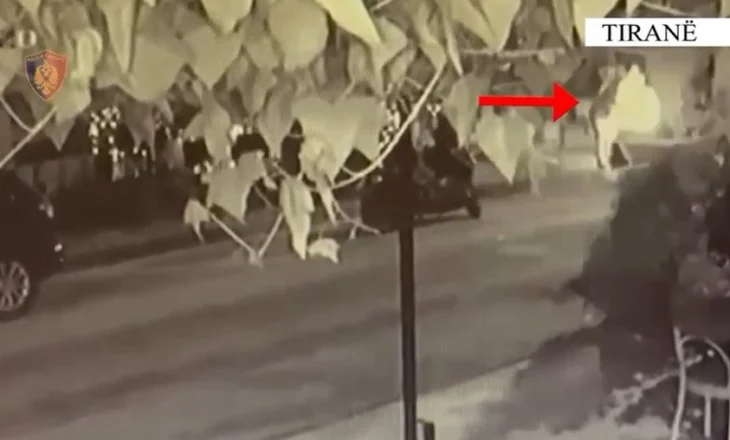 Dogji Audin me vlerë 100 mijë euro, arrestohet 39-vjeçari