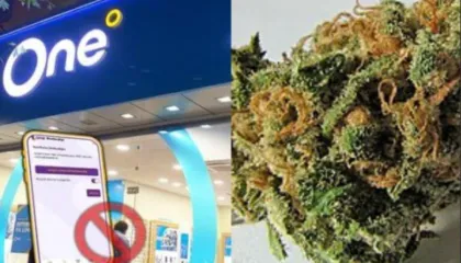 Dy drejtorë të One Albania arrestohen për dr@gë