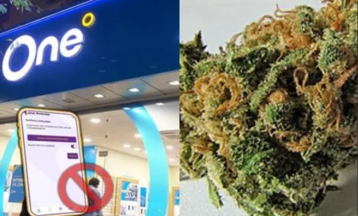 Dy drejtorë të One Albania arrestohen për dr@gë