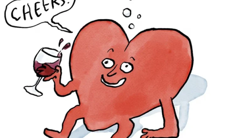 E vërtetë apo mit/ A i bën mirë zemrës tënde një gotë verë?