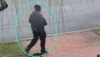 Ekzekutoi dy studentë në universitet, gjendet i vdekur autori. Kishte studiuar doktoraturë…