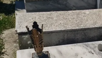 EMRI/ Vidhte dhe dhunonte varret në Berat, arrestohet autori