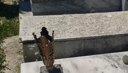 EMRI/ Vidhte dhe dhunonte varret në Berat, arrestohet autori