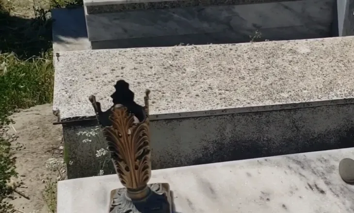 EMRI/ Vidhte dhe dhunonte varret në Berat, arrestohet autori