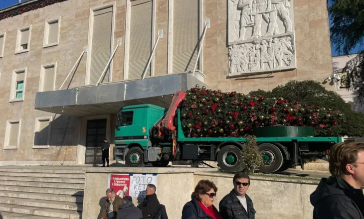FOTOLAJM / Protesta e PD në orën 18:00, hiqet pema e Krishtlindjeve para Kryeministrisë