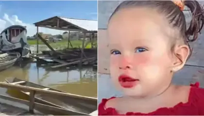 Fundi tragjik i vogëlushes 2-vjeçare në Brazil, ra në lumë dhe u sulmua nga piranjat