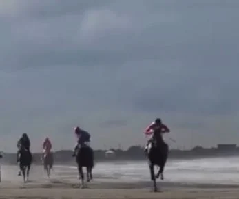 Garë me kuaj në Darëzezë. Video që tregon se si goditet me kamxhik kali i garës…