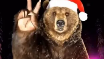 “Gëzuar Festat”, Balla ironizon demokratët: Arusha nga Kolosiani ju përshëndet