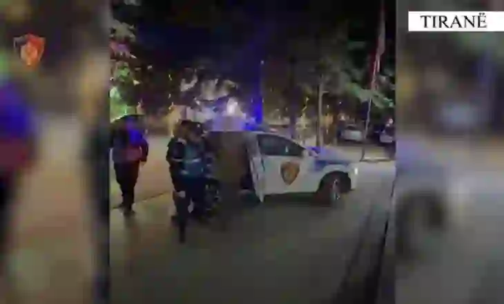 Goditet grupi kriminal që shiste armë zjarri në Kamëz, arrestohen dy persona