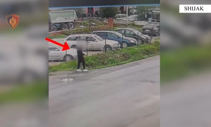 Hajduti nga Torino arrestohet për vjedhje në Maminas