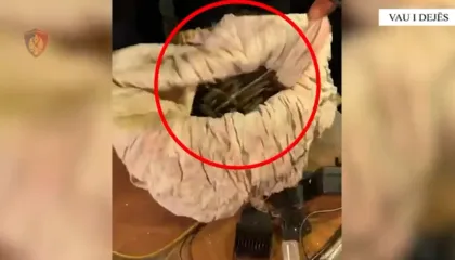 I gjendet kanabis dhe municion luftarak në banesë, arrestohet 42-vjeçari në Vaun e Dejës