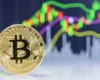 Investitorët afatgjatë vijojnë akumulimin e Bitcoin