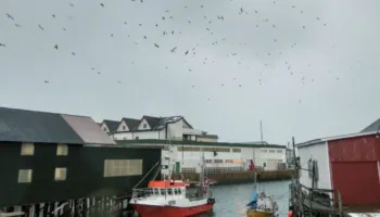 Ishulli që shfuqizoi kohën, banorët jetojnë pa orë dhe orare