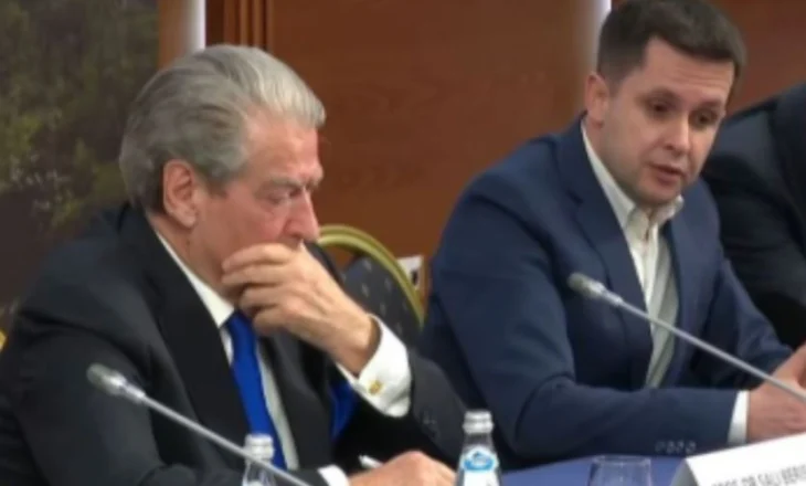 ‘Ka nevojë të fuqizohet’, Alimehmeti: Partia Demokratike duhet të pranojë ndryshimet