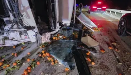 Kamioni i ngarkuar me agrume del nga rruga në aksin Levan-Tepelenë, lëndohet shoferi