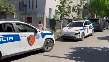 Kishte penguar qarkullimin e automjeteve, pranga 42-vjeçarit në Vaun e Dejës