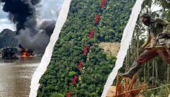 “Kokainë, ar dhe mish: si Amazona kolumbiane u shndërrua në një biznes fitimprurës për rrjetet kriminale”