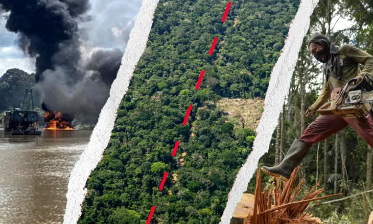 “Kokainë, ar dhe mish: si Amazona kolumbiane u shndërrua në një biznes fitimprurës për rrjetet kriminale”