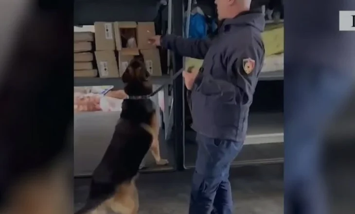 Kokainë, armë dhe mijëra euro/ Policia arreston shoferin e autobusit në Portin e Durrësit (Emri+video)