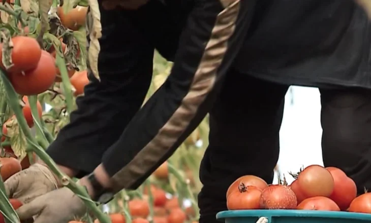 Kritika për sigurinë ushqimore, raporti i Progresit i BE-së për Shqipërinë vë në dukje dobësinë e sistemit të kontrollit