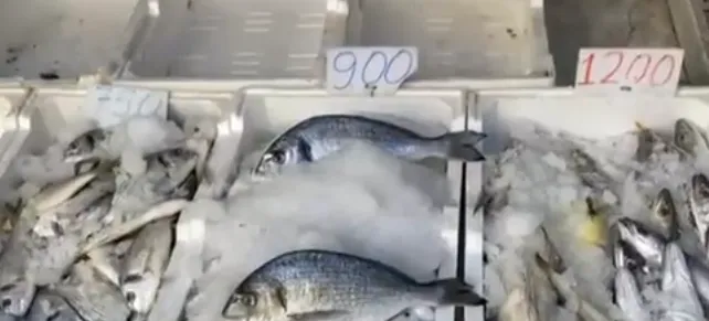 Kriza me ujin në Vlorë/ “Jemi gropë për Vitin e Ri”, peshkatari: E kemi ‘dhuratë’ nga Edi Rama!