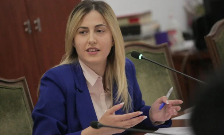 “Kujtoheni vetëm për zgjedhje”/ Projektligji për diasporën, Zhupa akuzon qeverinë: Faktet janë të thjeshta…