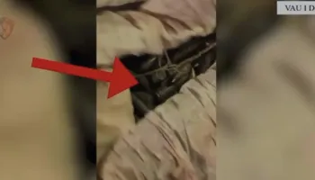 Kundërshtoi “Shqiponjat”/ 42-vjeçari në pranga, kapet me drogë dhe armë