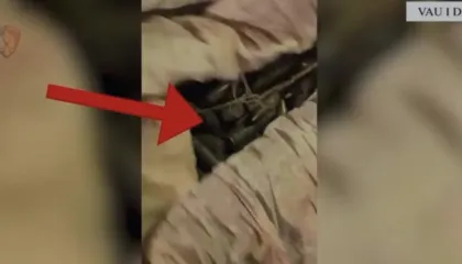 Kundërshtoi “Shqiponjat”/ 42-vjeçari në pranga, kapet me drogë dhe armë