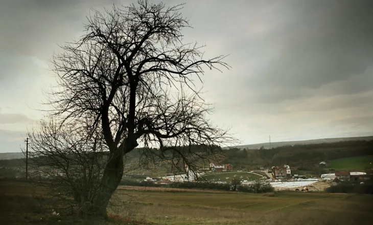 Legjendë popullore: Djali që mësoi gjuhën e kafshëve