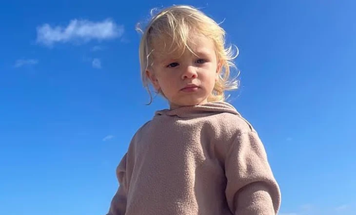 “Leo luante me të gjithë kohën”/ U sulmua për vdekje nga pitbulli, flet e ëma e 2-vjeçarit shqiptar: Qeni u frikësua nga të shtënat në…