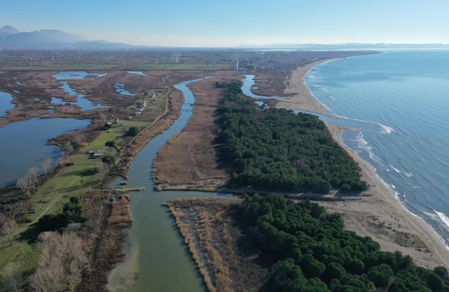 Lezhë / Konfiskohen 9 pasuri të përfituara nga veprimtari kriminale
