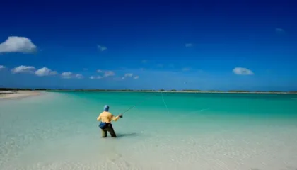 Mbërrin 2026! Festohet Viti i Ri në ishullin e vogël në Paqësor