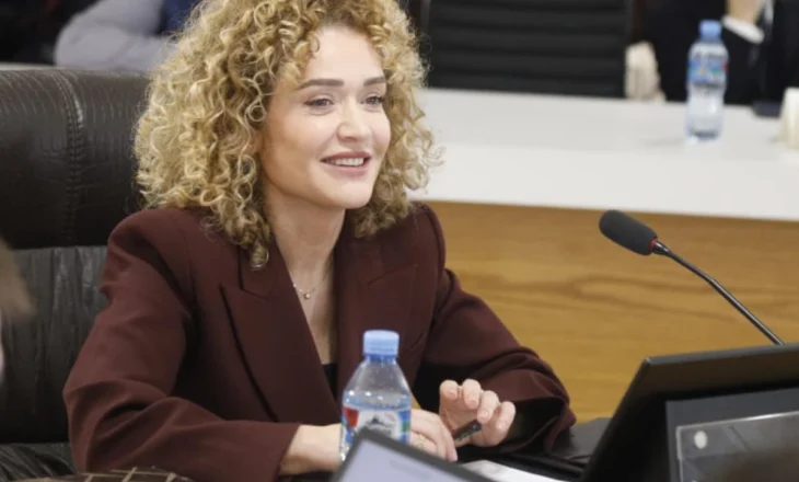 Mbi 20 vite pjesë e sistemit, kandidatja Musabelliu rendit çështjet më të rëndësishme që ka hetuar: Nga trafiku ajror i drogës, te funksionarët e lartë dhe vrasjet